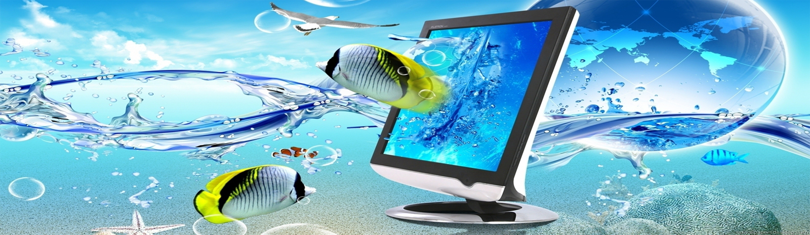 web-design-development-company-sri-lanka-3d-animations