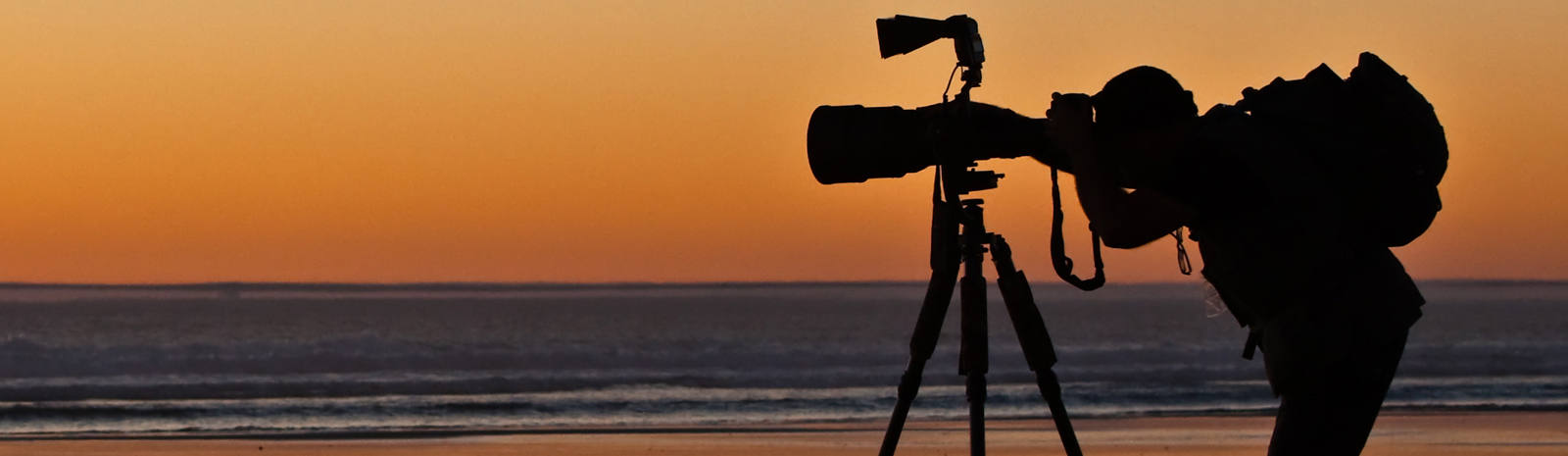 web-design-development-company-sri-lanka-photography-web-design
