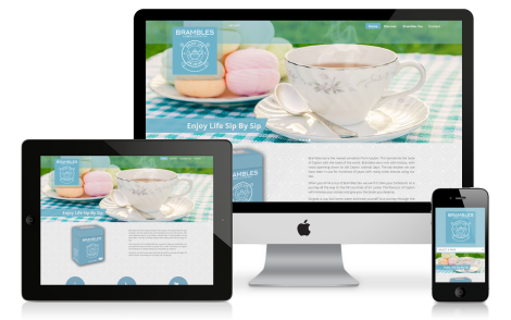web-design-development-company-sri-lanka-portfolio-bramblestea