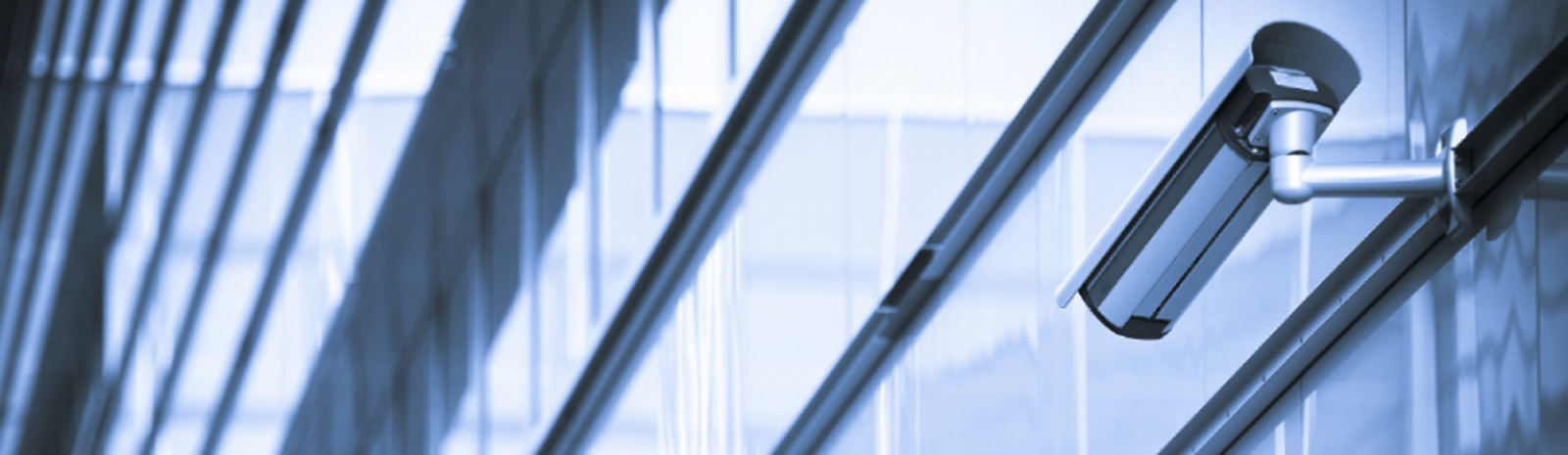 web-design-development-company-sri-lanka-portfolio-lankasecuritysystems