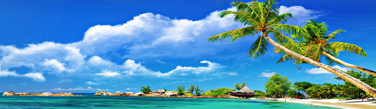 web-design-development-company-sri-lanka-portfolio-sritalotourssrilanka