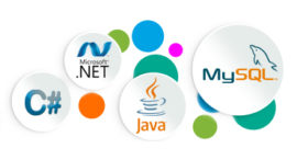 Software Development Solutions web-design-development-company-sri-lanka-software-development-solutions